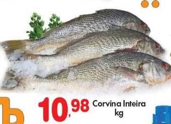 Corvina inteira