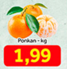 Shibata Supermercados Ponkan 1kg oferta