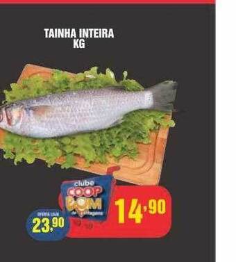 Tainha inteira