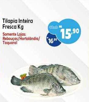 GoodBom Tilapia inteira fresca kg oferta