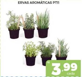 Supermercados Avenida Ervas aromáticas pt11 oferta