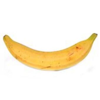 Banana terra 1 unidade 250g
