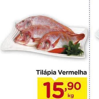 Carrefour Tilápia oferta