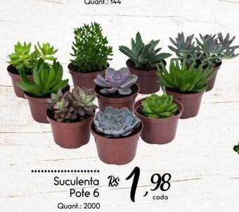 Giassi Supermercados Suculenta pote 6 oferta