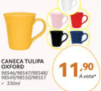 Benoit Caneca Tulipa 330ml oferta