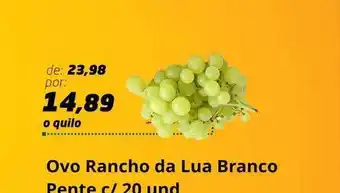 Ovo rancho da lua branco pente c 20 und