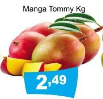 Manga Tommy 1kg