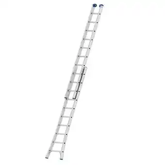 Escada extensiva mor 2x10 mor