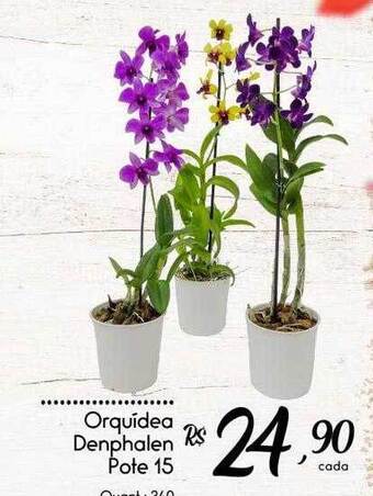 Giassi Supermercados Orquídea denphalen pote 15 oferta