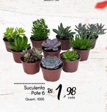 Giassi Supermercados Suculenta pote 6 oferta