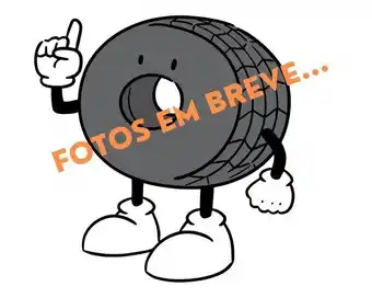 Carrefour Pneu aro 16" 205/55 r16 91v autogreen sport chaser-sc1 oferta