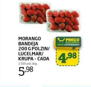 Cooper Morango bandeja polzin-lucelmar-krupa - cada oferta