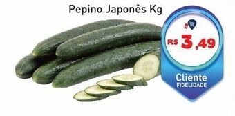 Tonin Superatacado Pepino japonês kg oferta