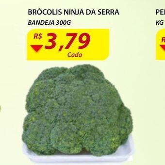 Assaí Atacadista Brôcolis ninja oferta