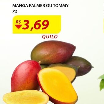 Assaí Atacadista Manga palmer oferta