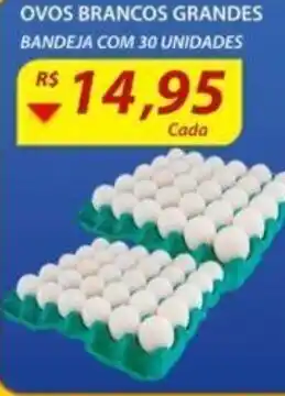 Ovos Brancos Grandes 30 unidades