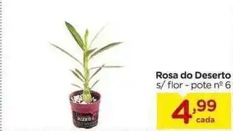Carrefour Rosa do deserto oferta