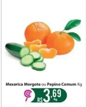Comercial Esperança Mexerica Morgote ou Pepino Comum 1kg oferta