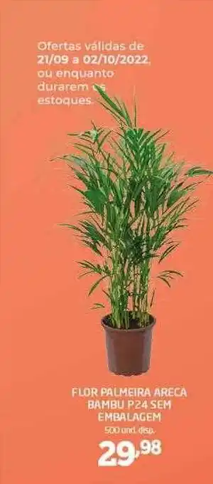 Cooper Flor pameira areca bambu oferta