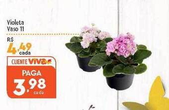 Supper Rissul Violeta vaso 11 oferta