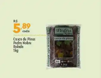 Supper Rissul Casca de pinus pedra nobre rolada oferta