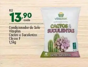 Supper Rissul Condicionador de solo vitaplan cactos e suculentas classe f oferta