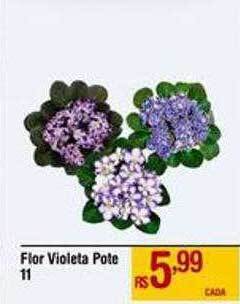 Max Atacadista Flor violeta pote 11 oferta