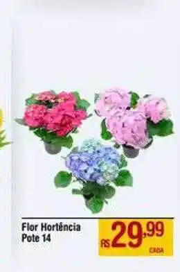 Max Atacadista Flor hartência pote 14 oferta