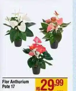 Max Atacadista Flor anthurium pote 17* oferta