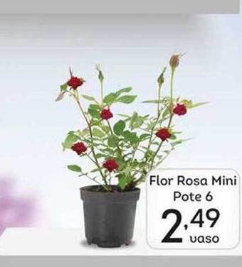 Supermercados Tauste Flor rosa mini pote 6 oferta