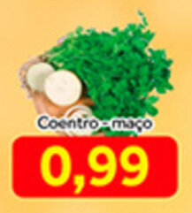 Shibata Supermercados Coentro maco oferta