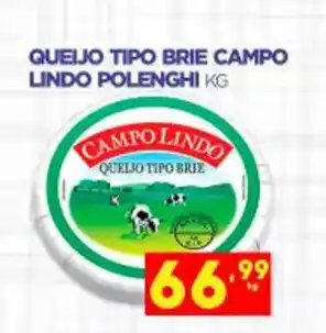 Queijo tipo Brie Campo Lindo Polenghi 1kg
