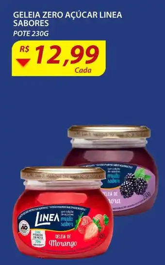 Assaí Atacadista Geleia Zero Acucar Linea sabores 230g oferta