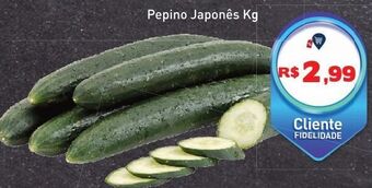 Tonin Superatacado Pepino japonês kg oferta