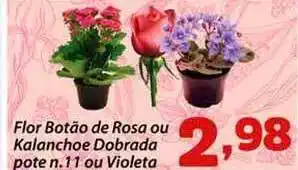 Confiança Supermercados Flor Botão De Rosa Ou Kalanchoe Dobrada Pote N. 11 Ou Violeta oferta