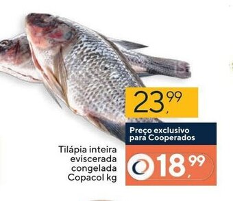Coop Tilapia Inteira Eviscerada congelada Copacol 1kg oferta