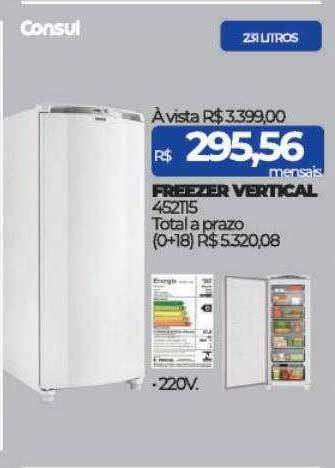 Freezer vertical consul