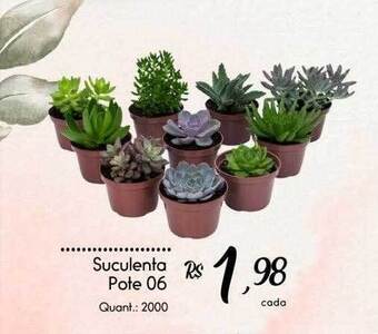 Giassi Supermercados Suculenta pote 06 oferta