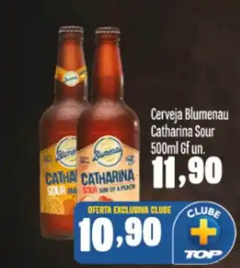 Cerveja blumenau catharina sour 500ml
