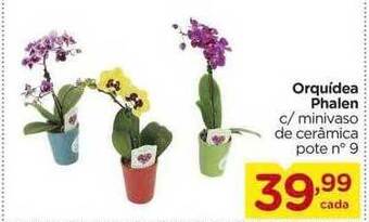 Carrefour Orquídea phalen oferta