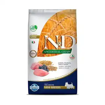 Petz Ração n&d para cães adultos raças mini ancestral grain sabor cordeiro e blueberry oferta