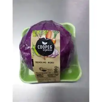 Repolho roxo organico coopeg 500g