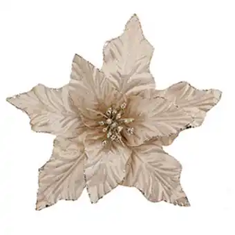 Pick flor bico de papagaio recortado 27cm champanhe - yangzi