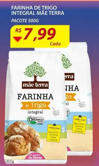Assaí Atacadista Farinha de Trigo Integral Mae Terra 500g oferta