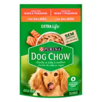 Alimento para cães adultos raças minis e pequenas salmão purina dog chow extra life sachê 100g