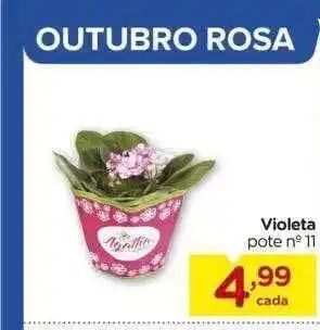 Carrefour Violeta oferta