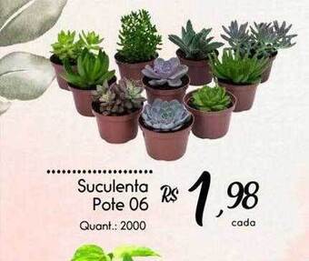 Giassi Supermercados Suculenta oferta