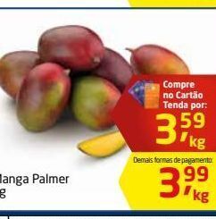 Tenda Atacado Manga palmer oferta