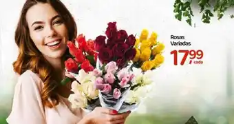 Rosas variadas