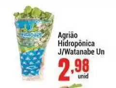 Agrião Hidroônica J Watanabe